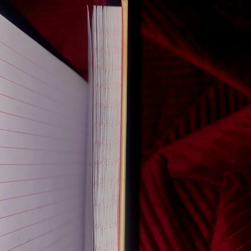 Remember This Moment Taylor Swift RARE Journal Hardcopy - Picture 4 of 5